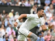 开云棋牌下载-温网碾压戴维斯杯，德约科维奇状态火热