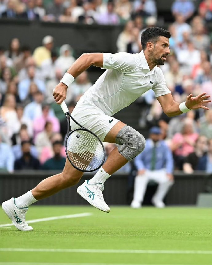 温网碾压戴维斯杯，德约科维奇状态火热